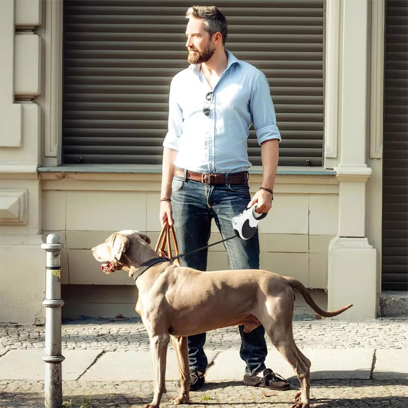 The Pet Leash Comes with a Light, Automatic Retractable, Cat Leash, Dog Leash with Light, Extended Dog Chain, Enhanced Version of the Light